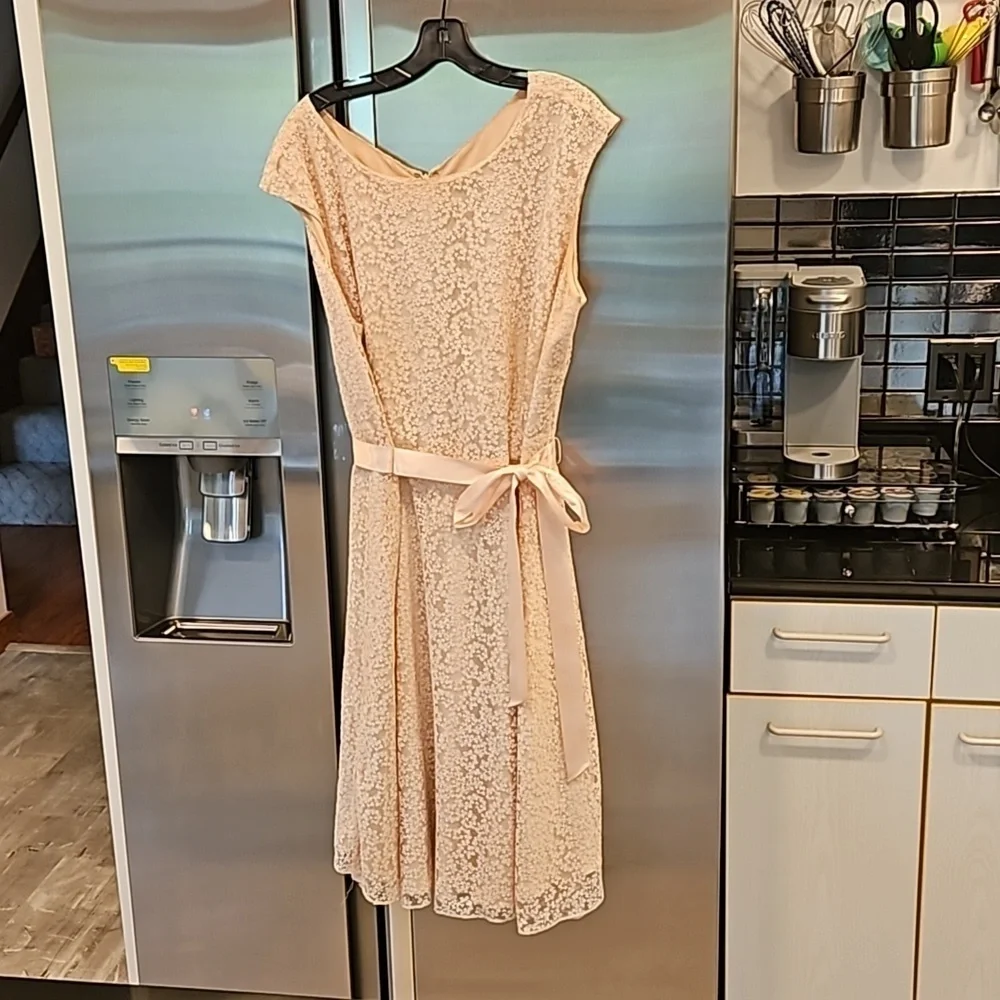 💕TAHARI by ASL💕 Glitter Lace Trim Metallic Ribbon Belted Dress Light Pink 18W - Picture 7 of 14